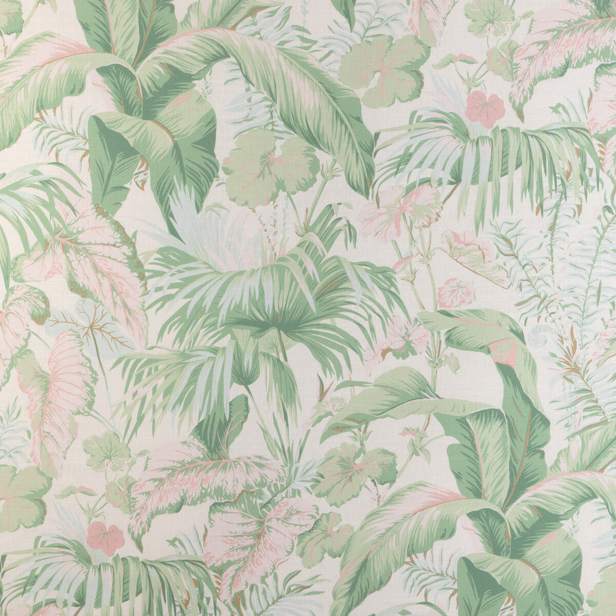 yasuni3170-yasuni-pink-palm-kravet-couture - KRAVET COUTURE Fabric