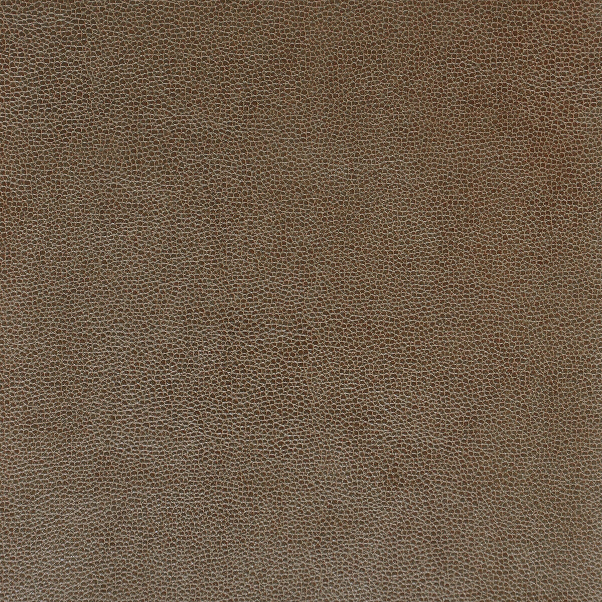 sparta1060-kravet-design-sparta-106-kravet-design