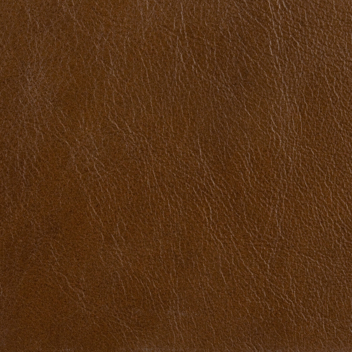 l-distresswhiskey0-l-distress-whiskey-kravet-design