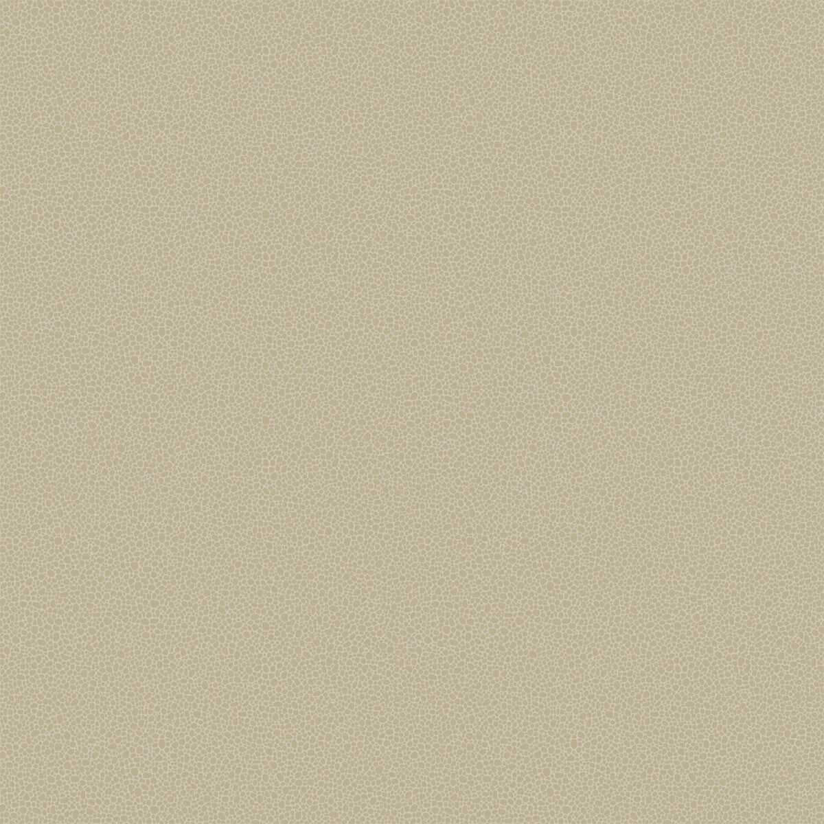 1079042cs0-goldstone-stone-gilver-cole-son