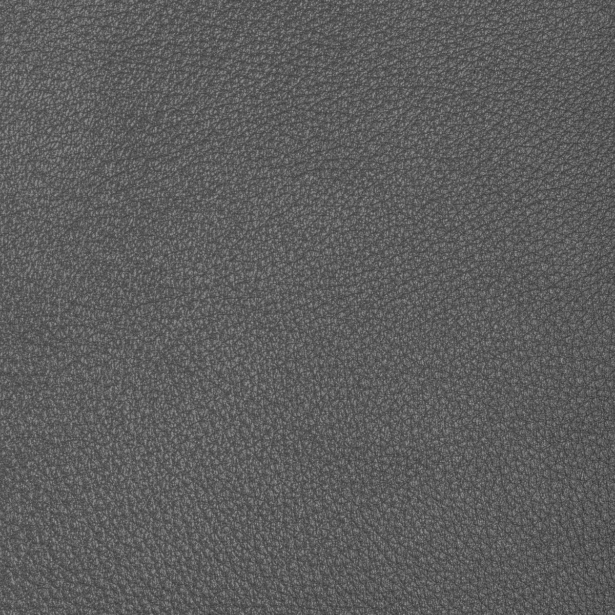 l-conchassteel0-kravet-design-l-conchas-steel-kravet-design
