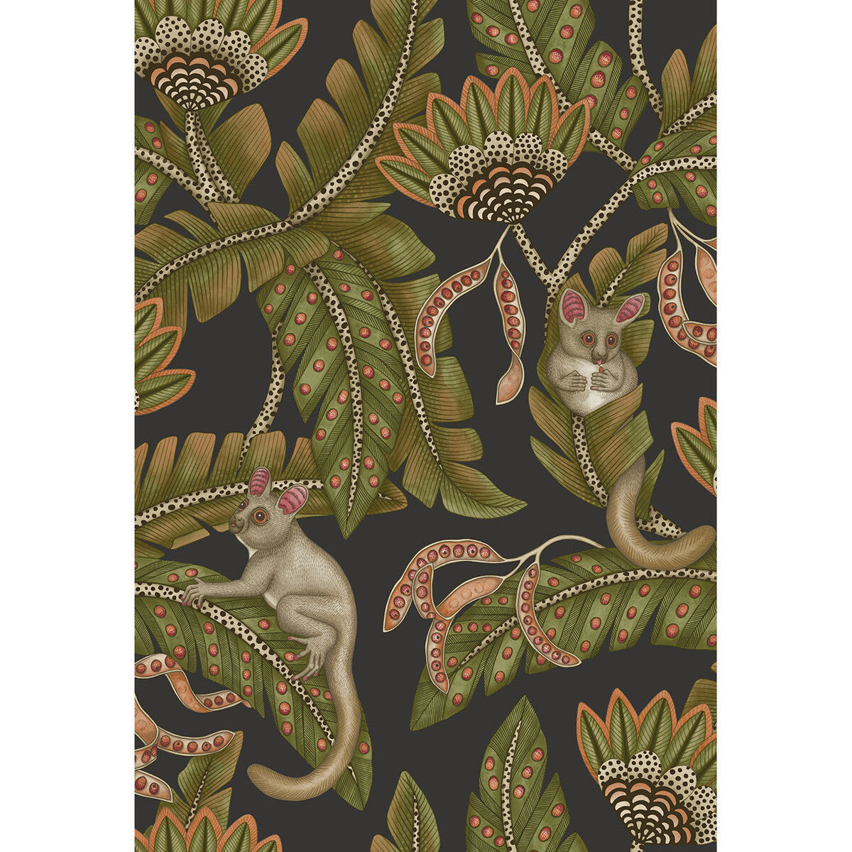 1197031cs0-bush-baby-spgrnorngblck-cole-son - COLE & SON Wallpaper