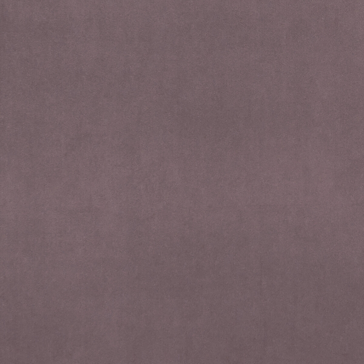 f075350cac0-alvar-amethyst-clarke-and-clarke - CLARKE AND CLARKE Fabric