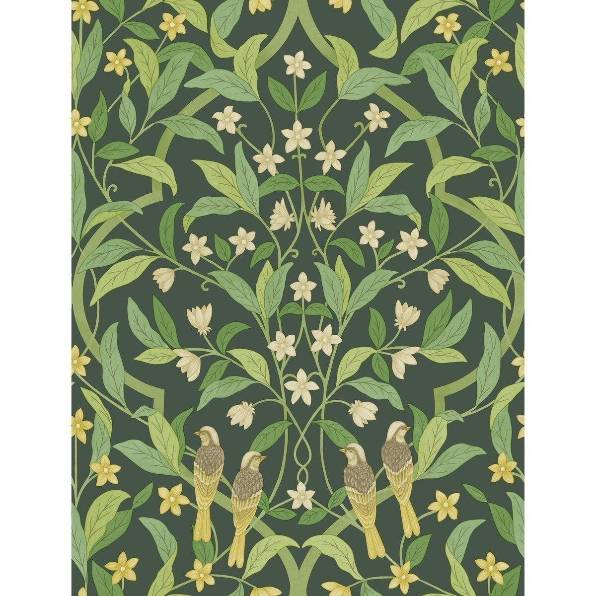 11710029cs0-jasmine-serin-symphony-yellowgrnforest-cole-son