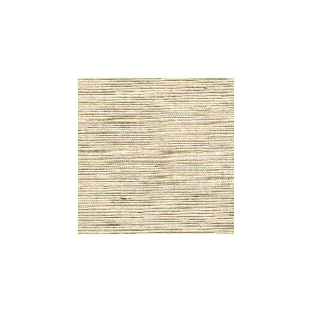 wss4552wt0-sisal-spearmint-winfield-thybony - WINFIELD THYBONY Wallpaper