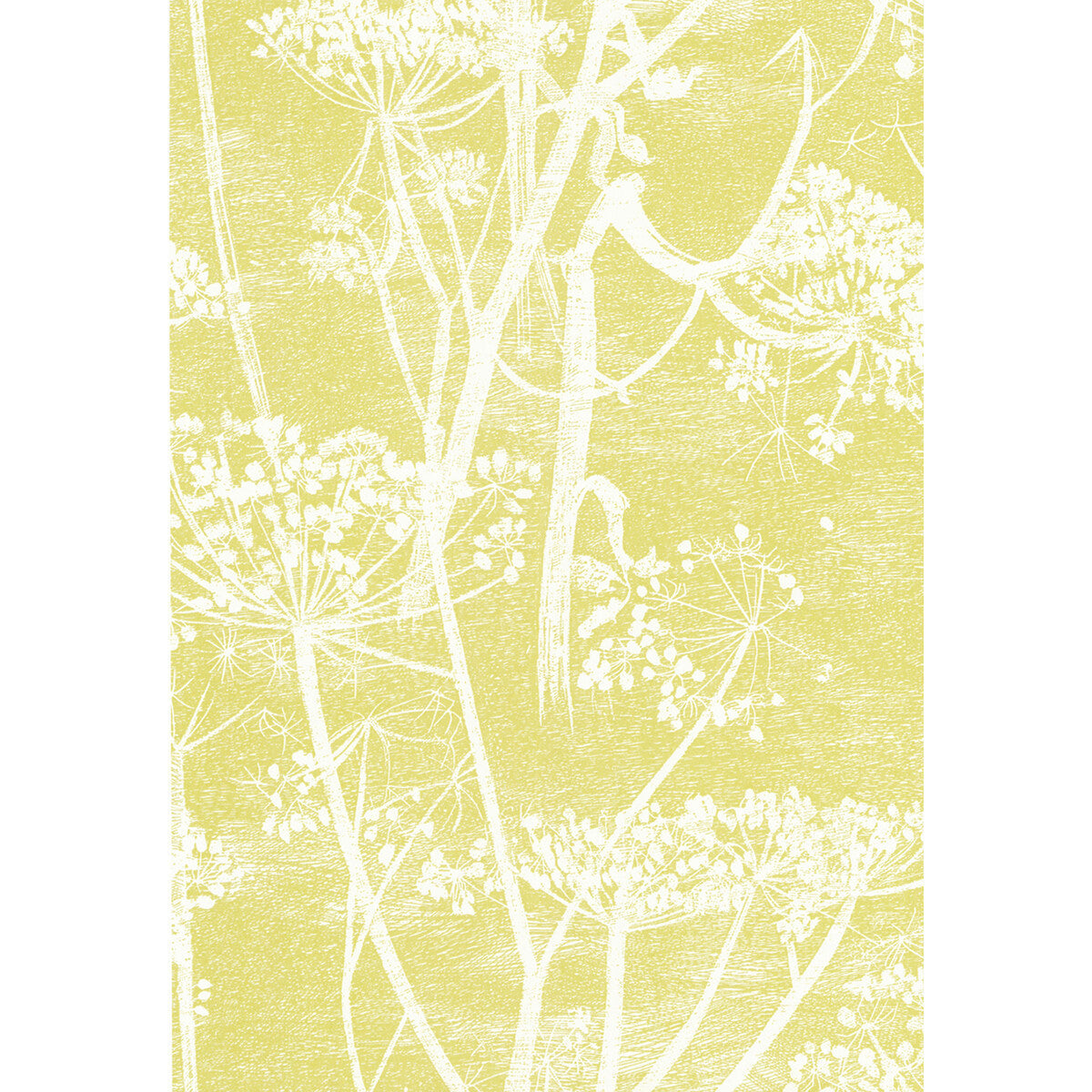 667051cs0-cow-parsley-whitey-cole-son - COLE & SON Wallpaper