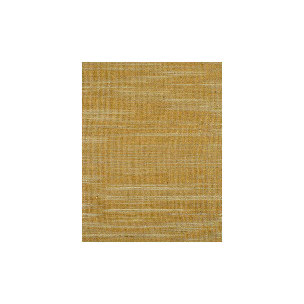 wiw2537wt0-negril-sole-winfield-thybony - WINFIELD THYBONY Wallpaper
