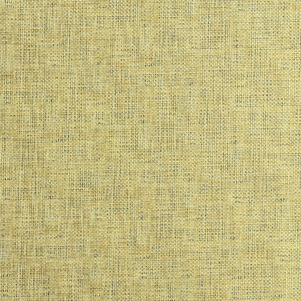 etching4040-etching-gold-kravet-couture