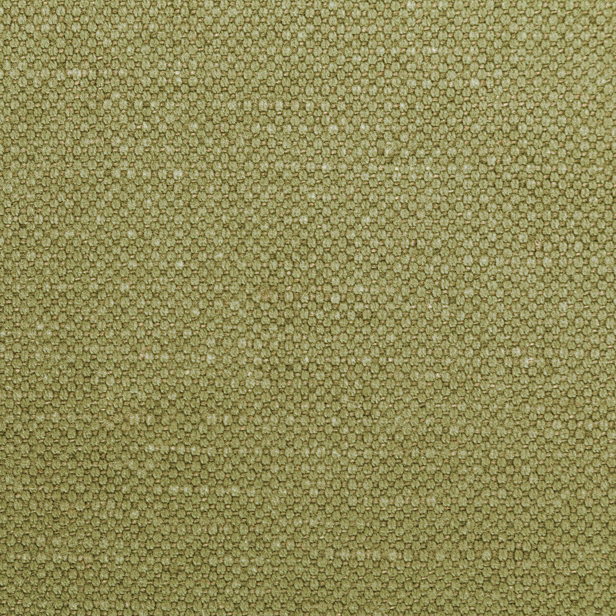 36282230-carson-dill-kravet-basics - KRAVET BASICS Fabric