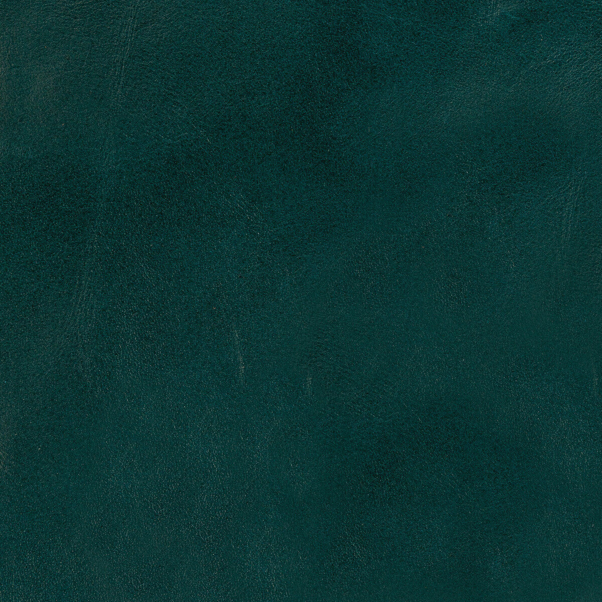 l-loboteal0-kravet-design-l-lobo-teal-kravet-design