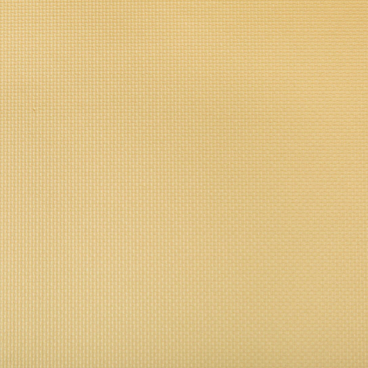 Sidney - Soft Gold