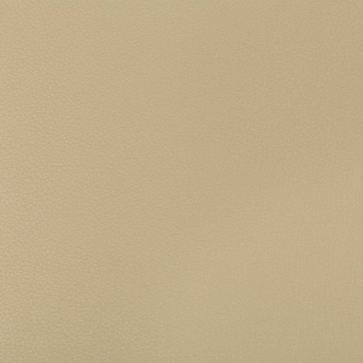 Syrus - Stucco