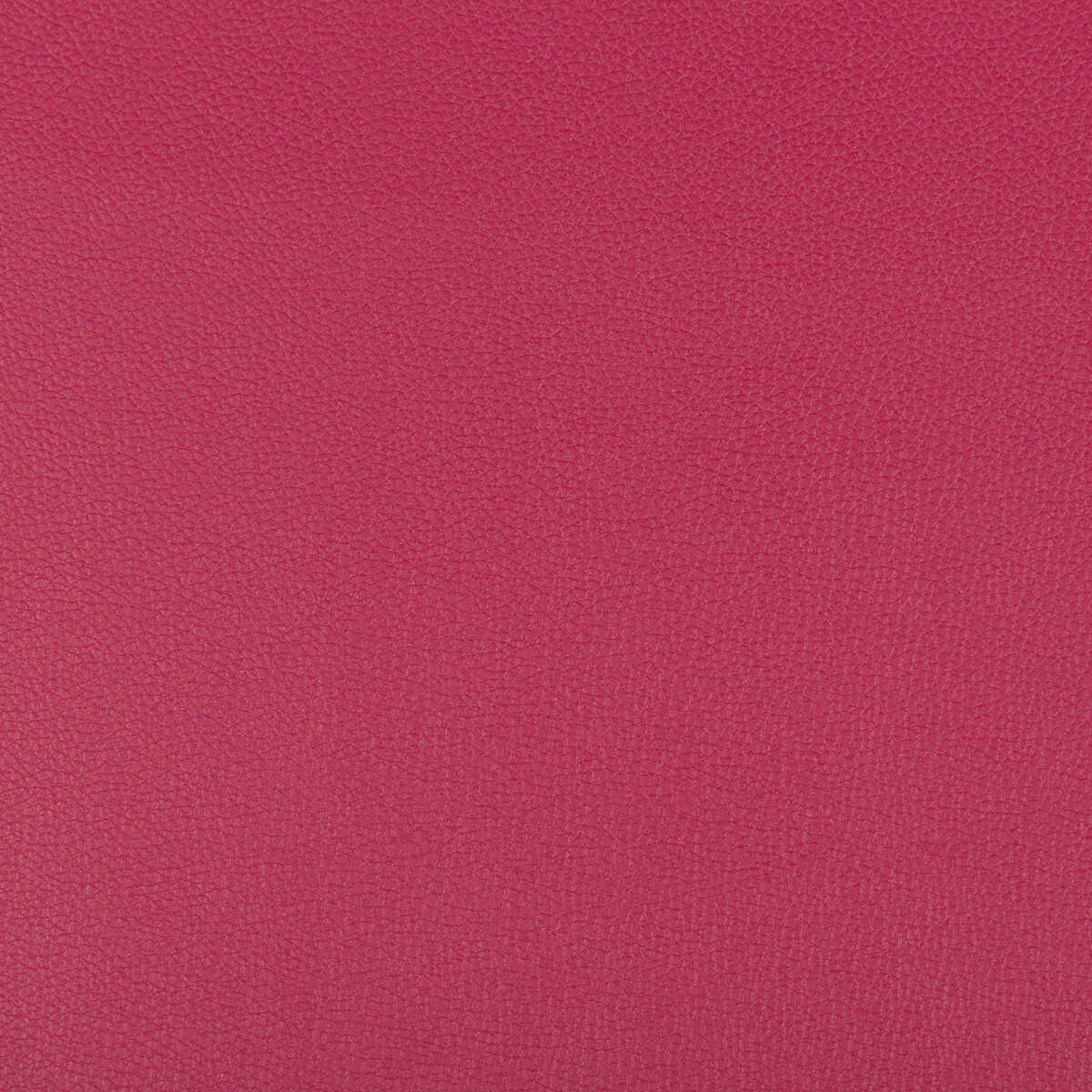 Syrus - Fuschia