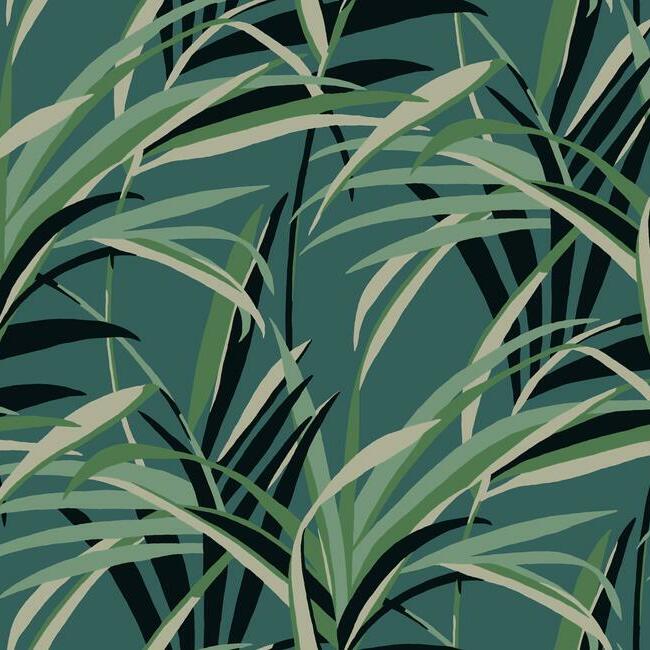 Tropical Paradise Wallpaper - Green/Dark Teal - York Wallcoverings - TC2607