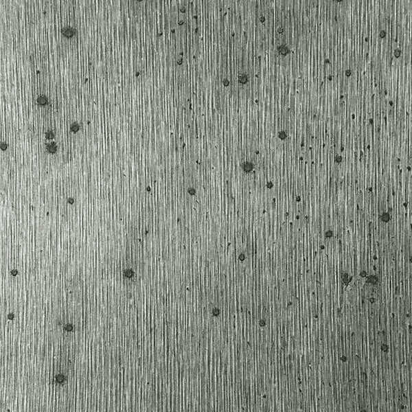 Texturedfoil - WINFIELD THYBONY Wallpaper