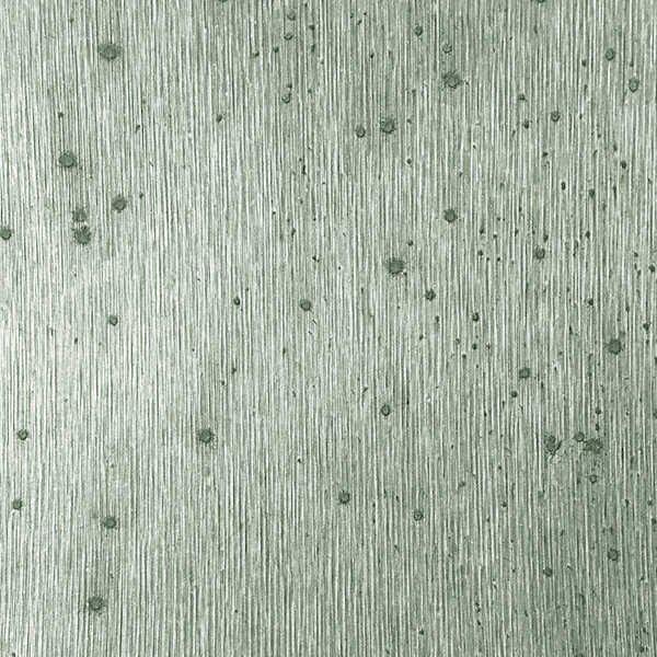 Texturedfoil - 0p - WINFIELD THYBONY Wallpaper