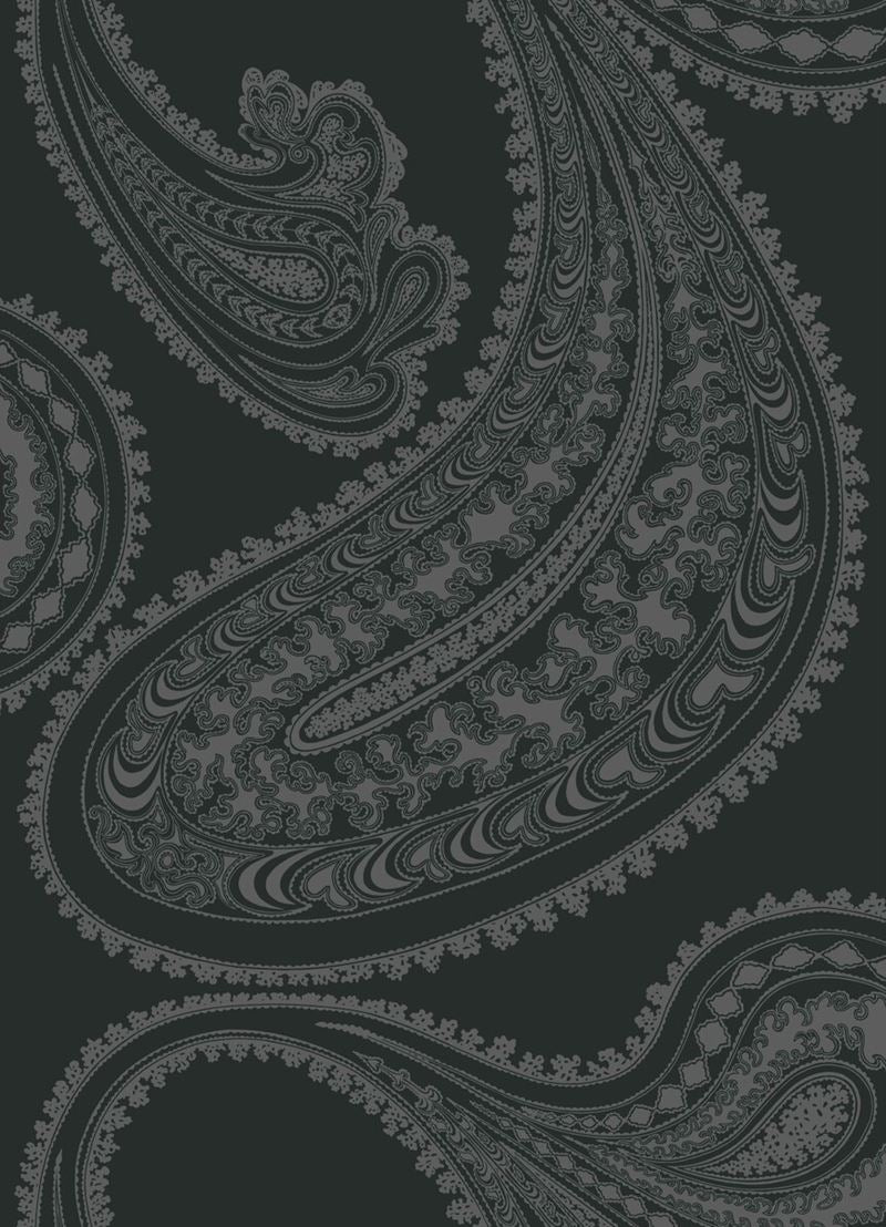 Cole & Son Fabric F111/10037.CS Rajapur Char Blk